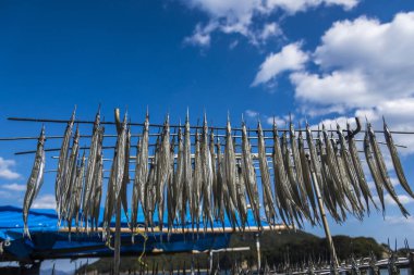 Balıklar açık havada kuruyor.  