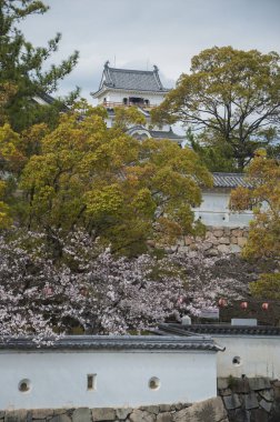 güzel kiraz çiçekleri ve geleneksel Japon mimarisi parkta