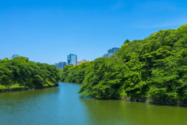 Parktaki ve kentsel kentteki güzel göl manzarası    