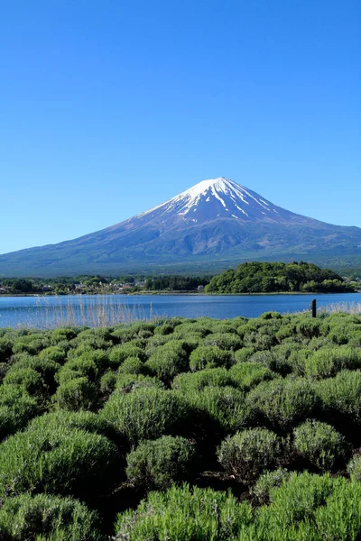 日本の富士山と湖の美しい景色 — ストック写真