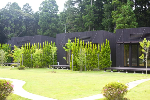 Yeşil çimenli modern yazlık evler 