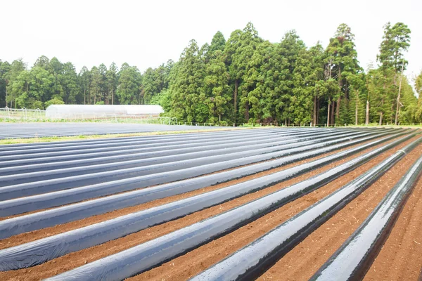 Solaranlage Auf Einem Feld — Stockfoto