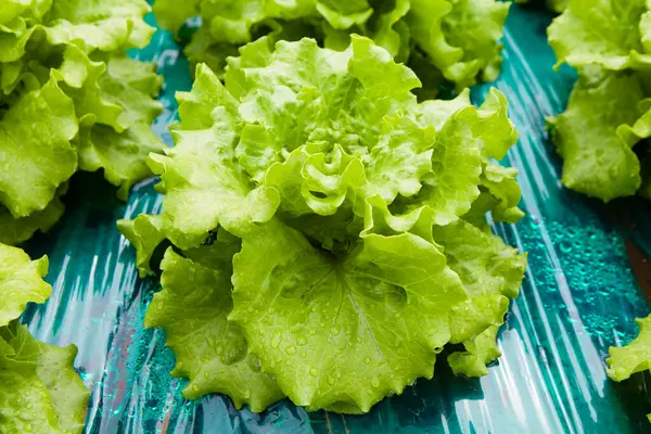 Frischer Bio Salat Auf Dem Tisch — Stockfoto