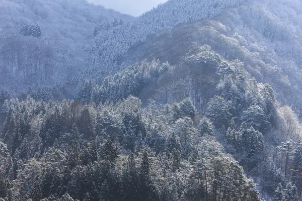 Prachtig Winterlandschap Met Sneeuw — Stockfoto