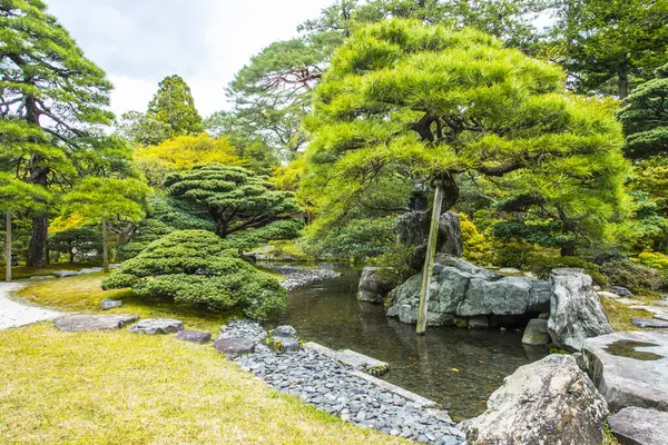 Parkta göleti olan Japon bahçesi. 