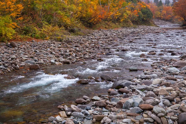 stock image beautiful autumn landscape with colorful trees and river