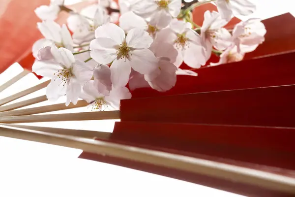 Flores Rojas Primavera Sobre Fondo Blanco —  Fotos de Stock