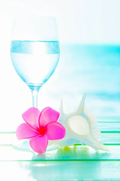 Sfondo Estivo Con Fiore Plumeria Conchiglia Bicchiere Vino Con Acqua — Foto Stock