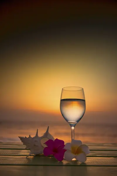 夏日的背景 有水仙花 贝壳和水仙花 在夕阳西下的海滩上 — 图库照片