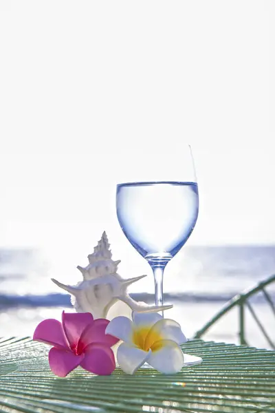 夏天的背景 有水仙花 贝壳和水仙花 海滩上有水 — 图库照片
