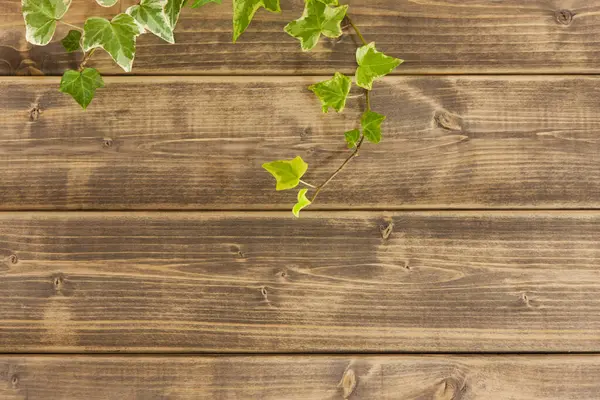 Holzhintergrund Mit Grünen Blättern — Stockfoto