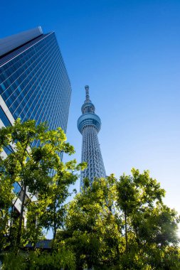 Japonya Tokyo gökdelen kulesi