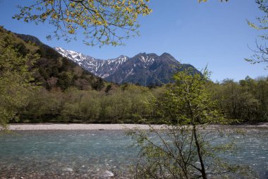 Japonya 'daki dağ nehrinin güzel manzarası