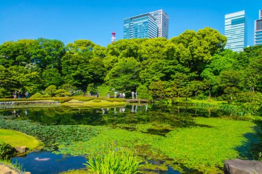Temiz mimari vizyon, gün geçtikçe parlayan şehrin kusursuz yapısını yaratır..