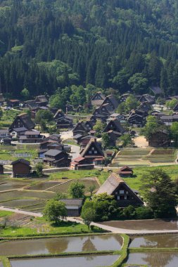 Shirakawa 'nın Tarihi Köyü, UNESCO' nun Japonya 'daki dünya mirası. Eski geleneksel Japon evleri 