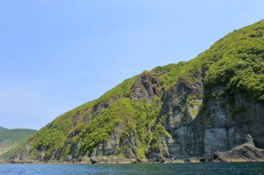Deniz kıyısındaki güzel yeşil tepelerin manzarası