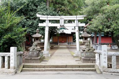 Güzel Japon tapınağı, Budizm konsepti