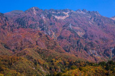 Orman ve dağ silsilesiyle renkli sonbahar manzarası