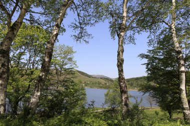 Köydeki güzel göl manzarası 