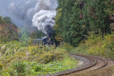 sonbahar ormanında buhar treni