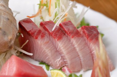 Tabakta taze deniz ürünleri, Japon mutfağı konsepti, yakın çekim. 