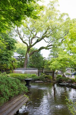 Gölün kenarındaki sakin bir Asya parkı, yaz güneşinde yakalanmış..