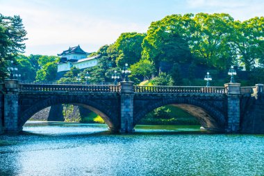 Eski köprüsü, sakin göleti ve ağaçlarıyla güzel Japon parkı.             