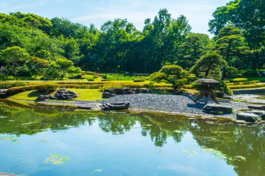 Sakin göleti ve yazın yeşil ağaçları olan güzel Japon parkı.        