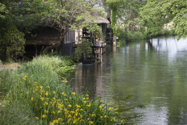 Küçük bir nehre yerleştirilmiş su değirmeni