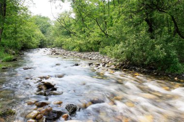 Kayalarla dolu güzel bir dere manzarası.