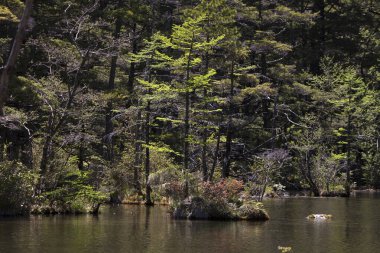 Japonya 'daki güzel dağ gölü manzarası