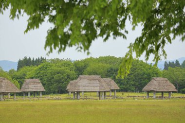 San 'nai-Maruyama iseki Özel Tarihi Aomori Şehri, Aomori Bölgesi, Japonya. Yerleşim yeri, tarihi dönüm noktası.