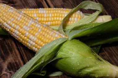 Tahta arka planda taze mısır koçanları