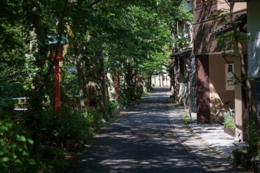 Yolda bitkiler olan eski binalar, gölgeli yollar. 