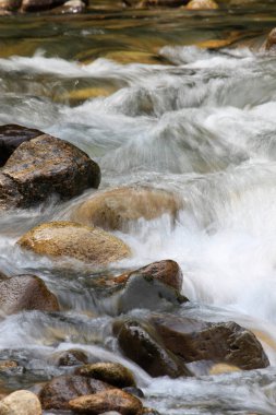 Kayalarla dolu güzel bir dere manzarası.