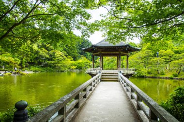 Japonya 'daki güzel yaz gölü manzarası