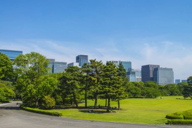 Şehir gökdelenleri ve yeşil park manzarası 