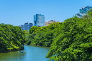 Parktaki ve kentsel kentteki güzel göl manzarası    