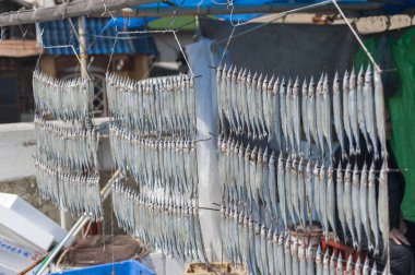 Balıklar açık havada kuruyor.  