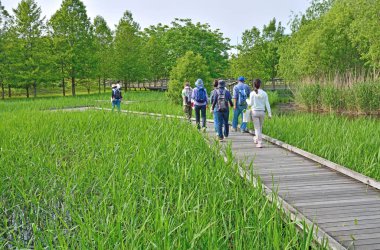 Green Park'ta yürüyordunuz insanlar