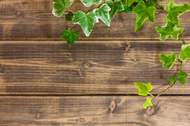 Yeşil yapraklı ahşap duvar arkaplanı 