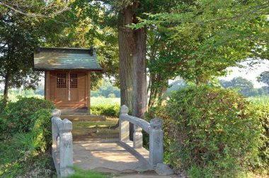 Köydeki eski ahşap ev.