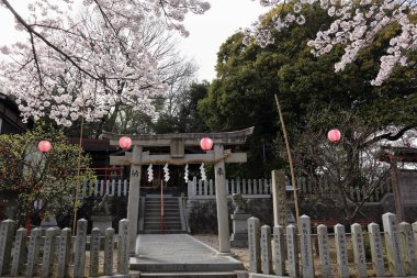 Güzel antik Japon tapınağının manzaralı görüntüsü.
