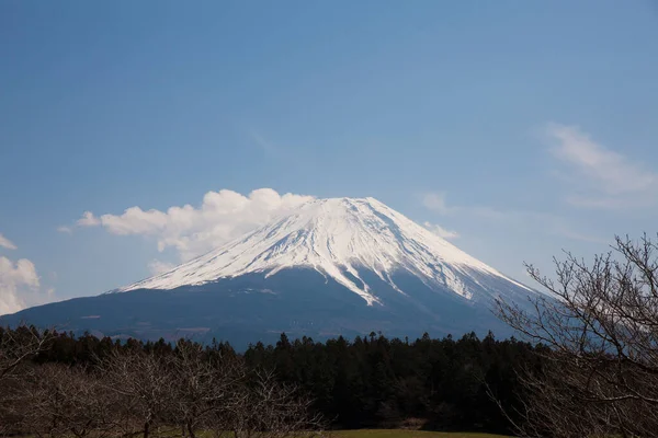mount fuji in japan  on nature background
