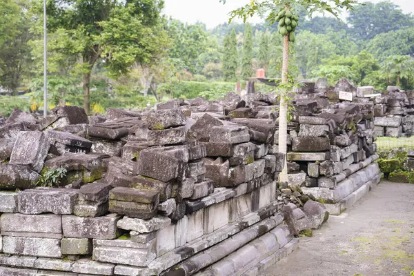 Ερείπια Του Ναού Στην Ιάβα Ινδονησία — Φωτογραφία Αρχείου