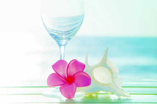 Sfondo Estivo Con Fiore Plumeria Conchiglia Bicchiere Vino Con Acqua — Foto Stock