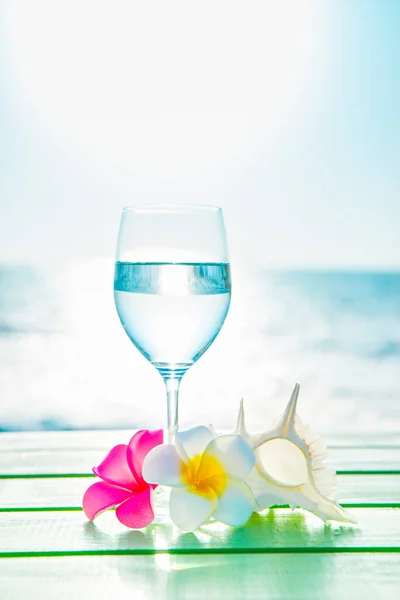 Sommer Hintergrund Mit Plumeria Blumen Muschel Und Weinglas Mit Wasser — Stockfoto