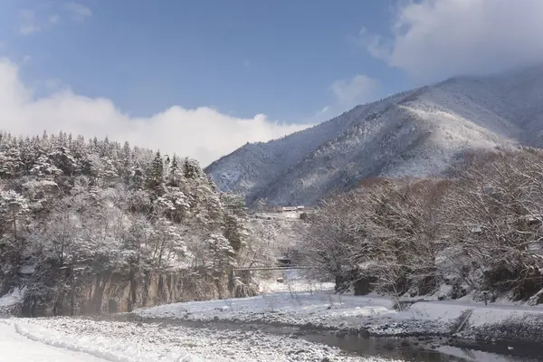 winter in japan, snow covered trees and mountains.