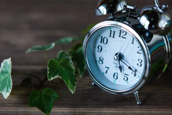 目覚まし時計と緑の葉 — ストック写真