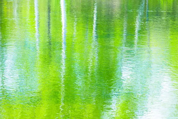 Odbicie Zielonych Drzew Wodzie Jeziora — Zdjęcie stockowe